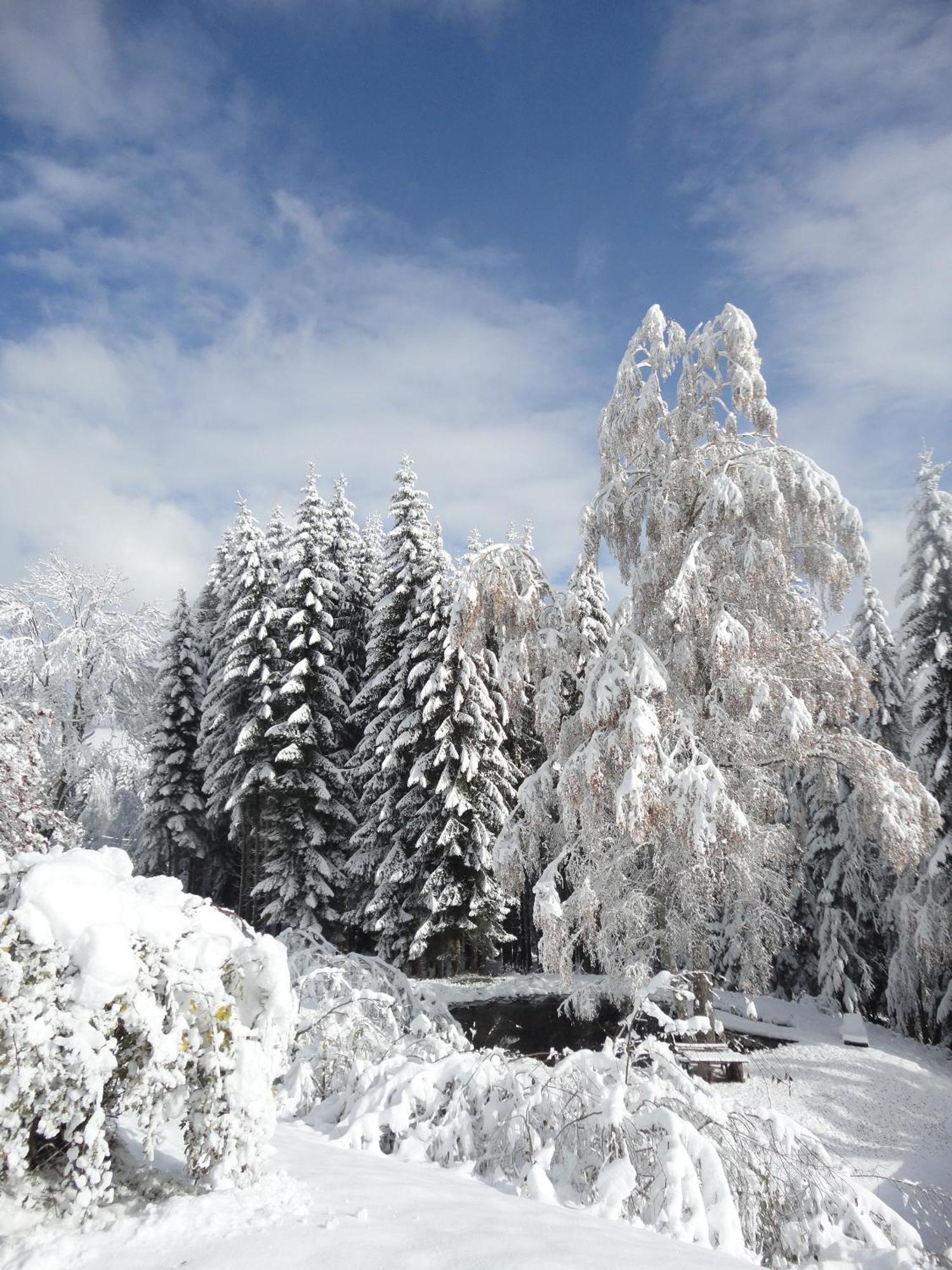 Appartamento Ferienhaus Hollinger Verditz Esterno foto