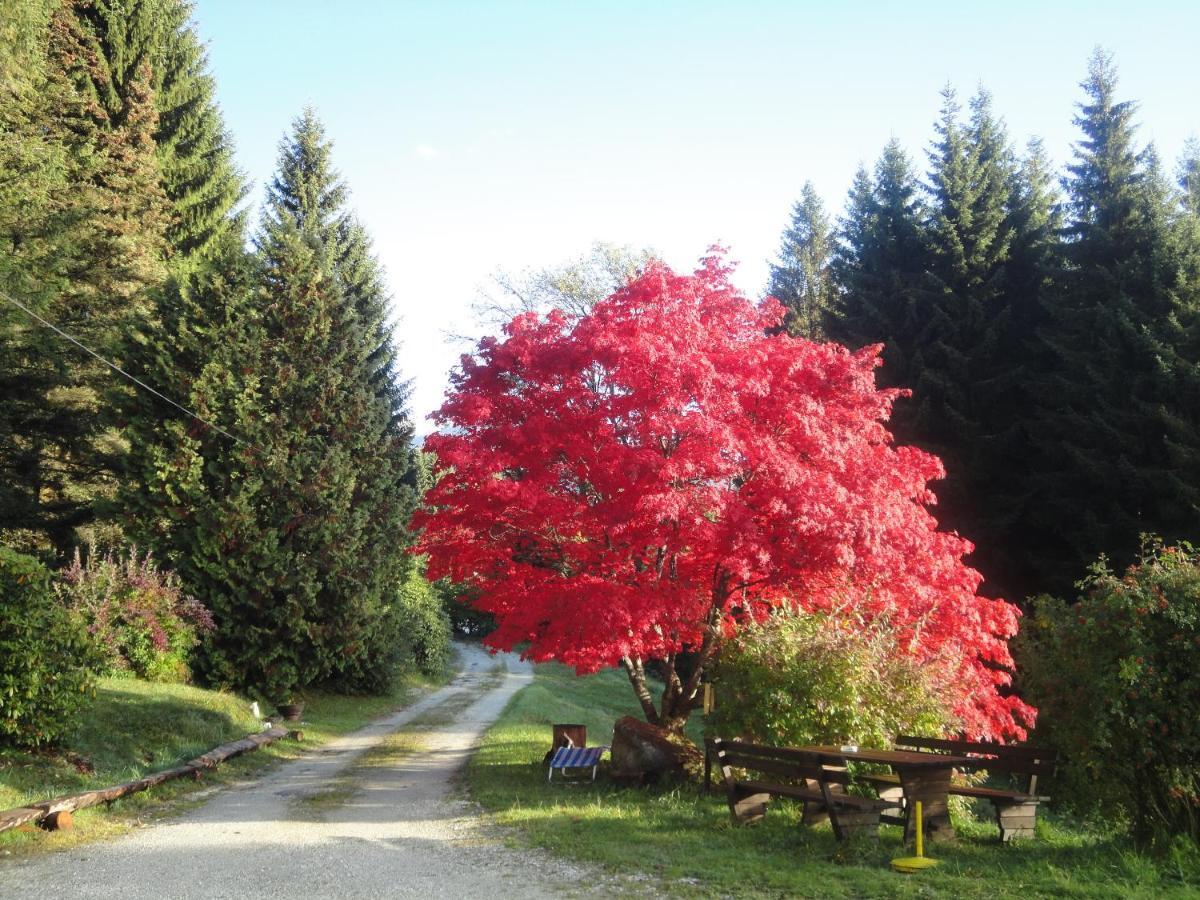 Appartamento Ferienhaus Hollinger Verditz Esterno foto