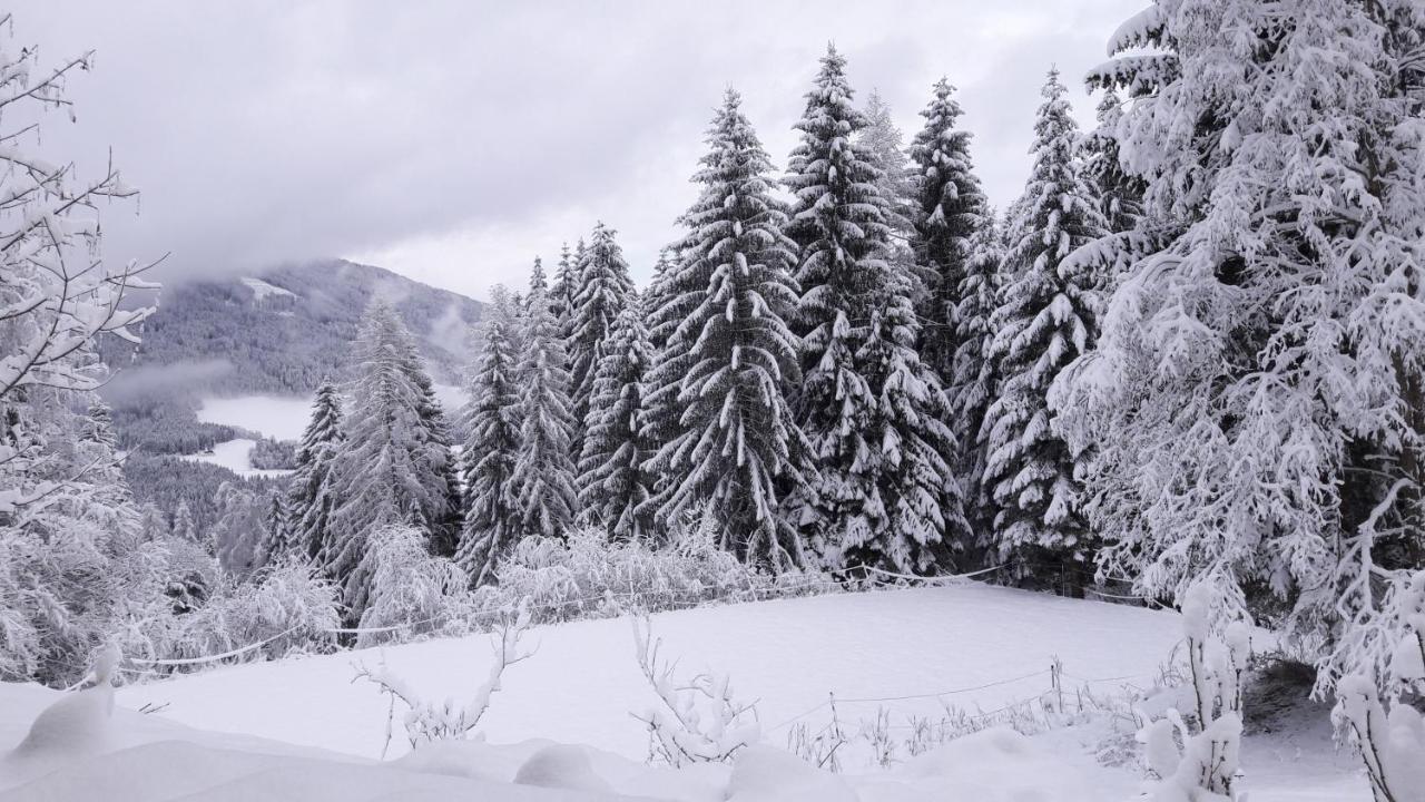 Appartamento Ferienhaus Hollinger Verditz Esterno foto